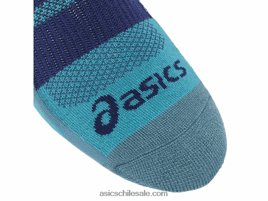 Asics tu velocidad no se presenta 2p R8N4461015 laguna