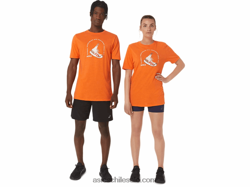 hombres Asics camiseta de manga corta 1977 global sportswear R8N4461268 brezo de caléndula