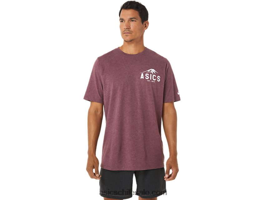hombres Asics fuji 1977 camiseta R8N4461265 Brezo profundo de Marte