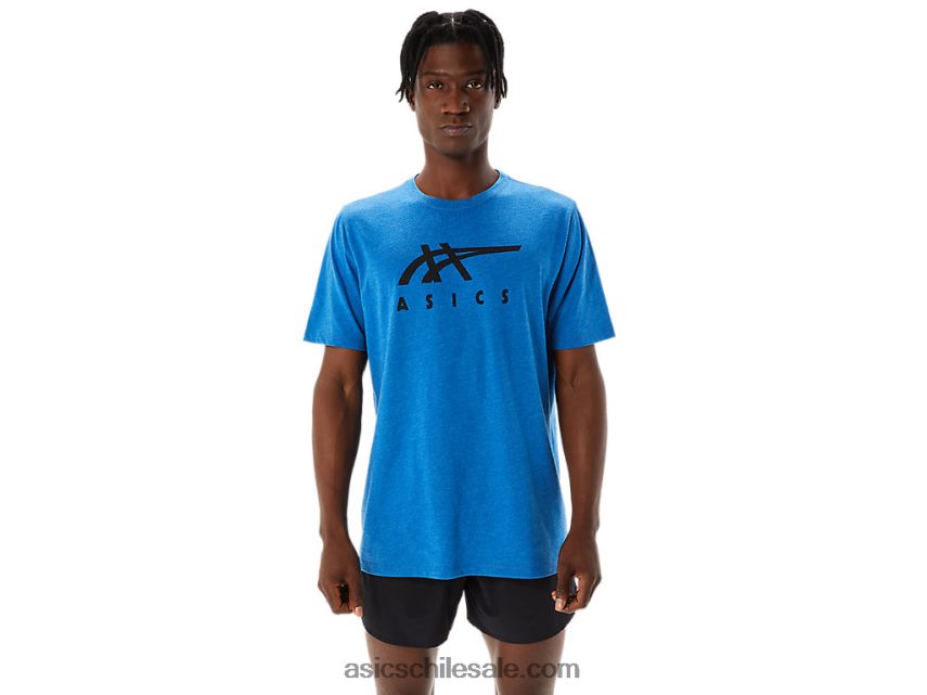 hombres Asics playera de manga corta a rayas R8N446850 lago drive brezo