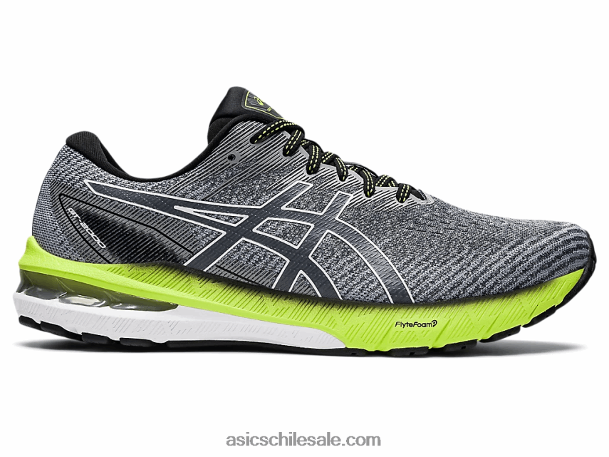 hombres Asics gt-2000 10 R8N4461475 portador gris/blanco