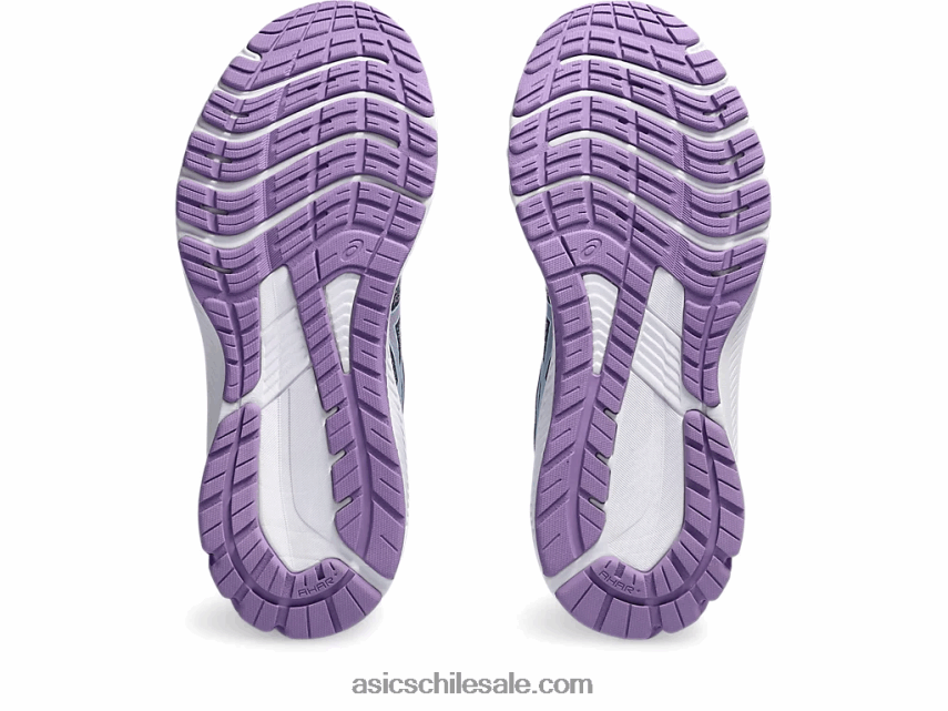 mujer Asics gt-1000 11 R8N4462617 gris piedmont/lavanda inglesa