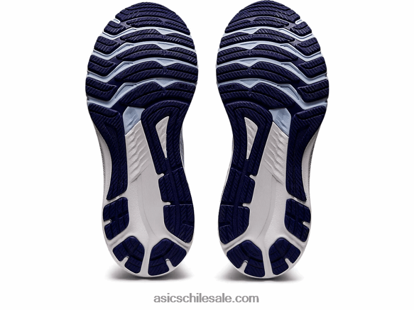 mujer Asics gt-2000 10 R8N4462853 cielo suave/plata pura