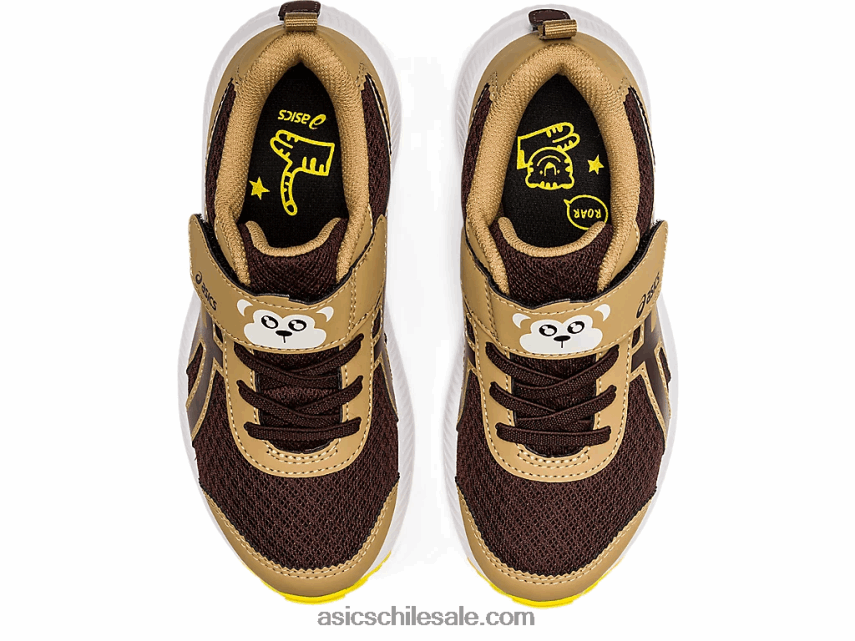 niños Asics contend 7 preescolar R8N4464482 café/café